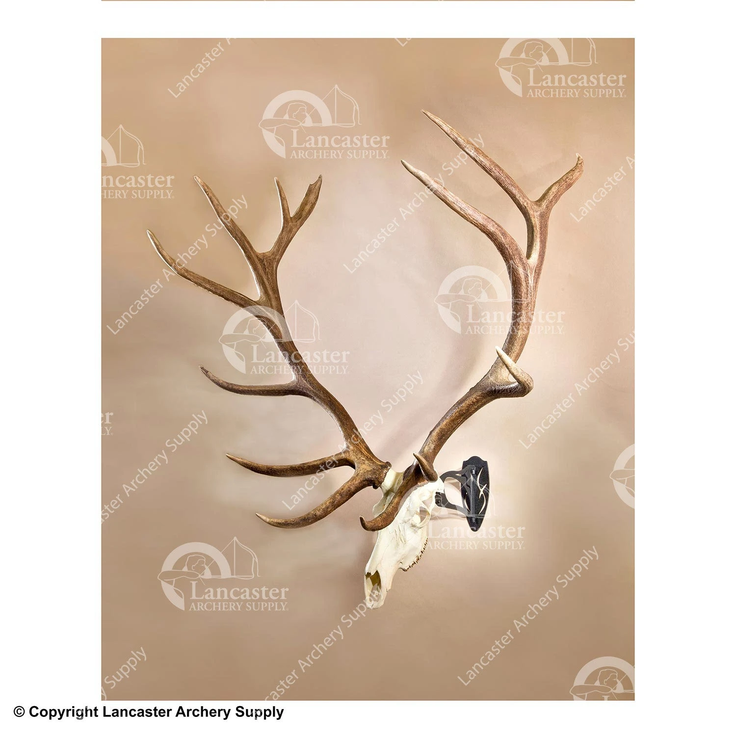 Skull Hooker Big Hooker 4 Skull Hooker Big Hooker - Image 2